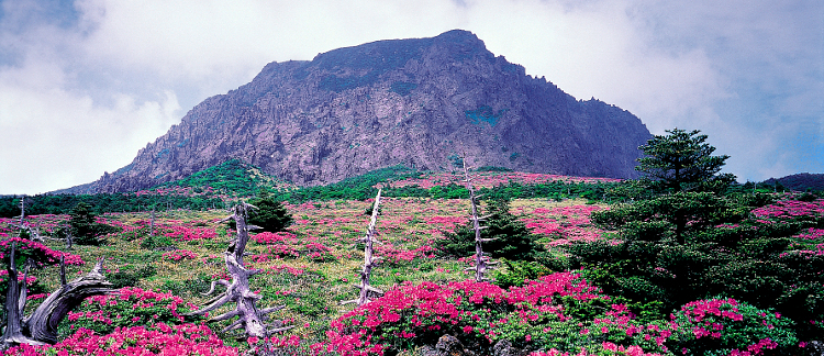 Berg Hallasan auf Jeju, Südkorea