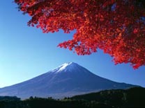 Fuji im Herbst